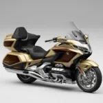 Honda GL1800 Gold Wing Tour 2025