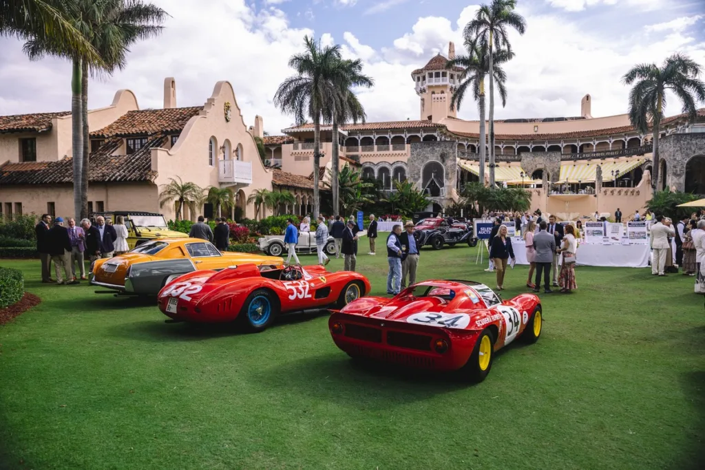 Palm Beach Cavallino Classi