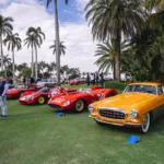 Palm Beach Cavallino Classi