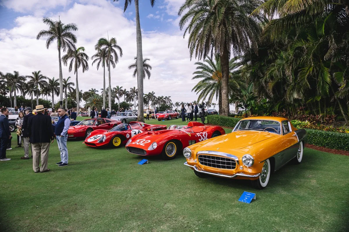 Palm Beach Cavallino Classi