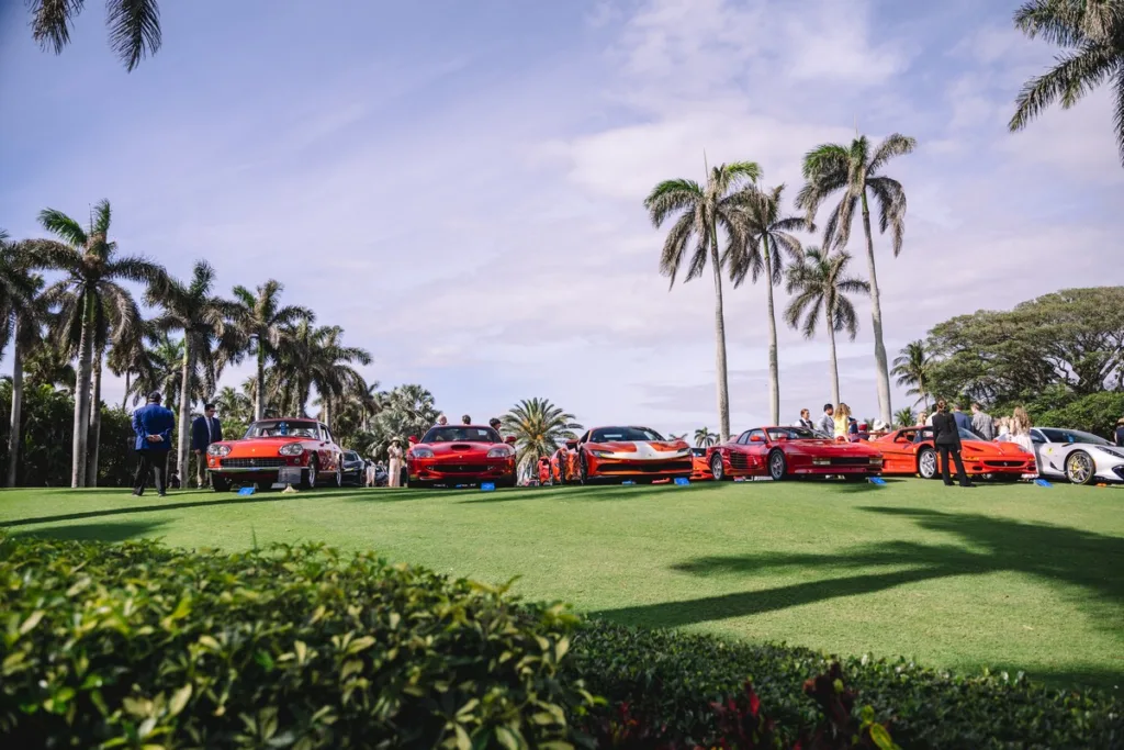 Palm Beach Cavallino Classi