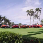 Palm Beach Cavallino Classi