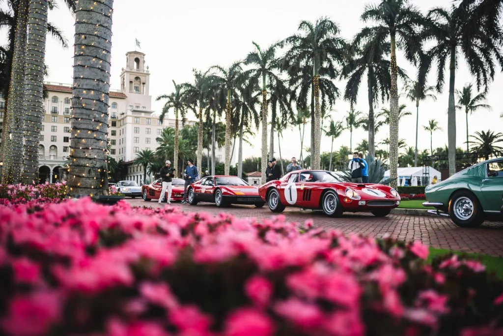 Palm Beach Cavallino Classi