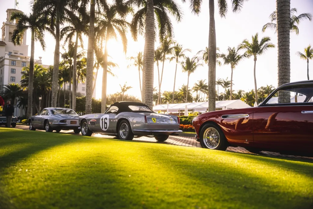 Palm Beach Cavallino Classi