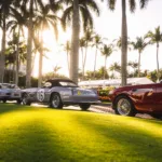 Palm Beach Cavallino Classi