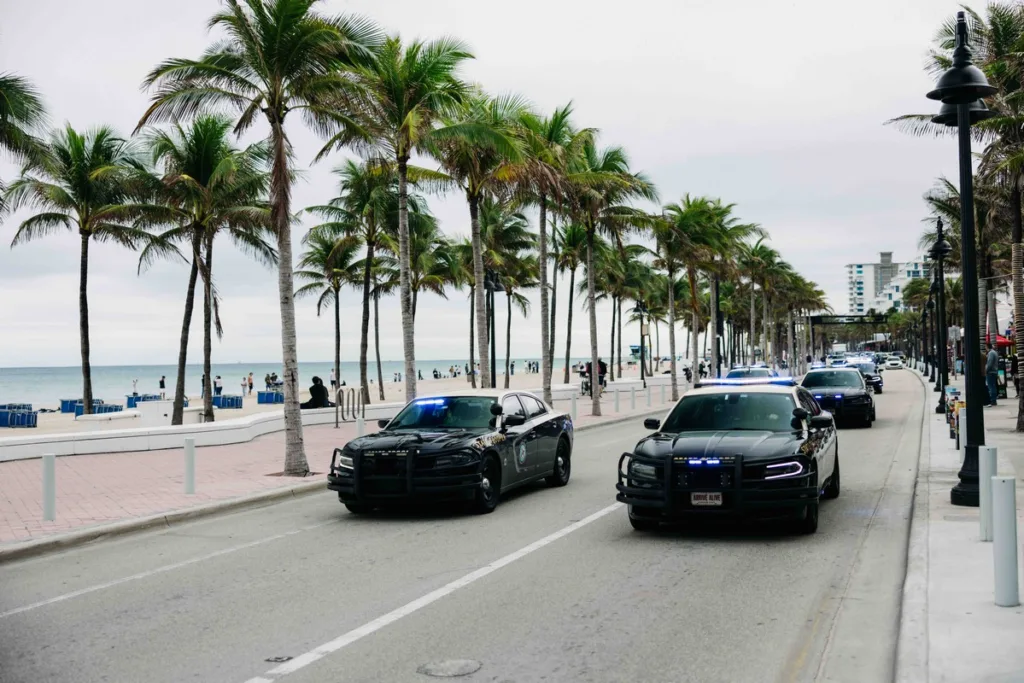 Palm Beach Cavallino Classi