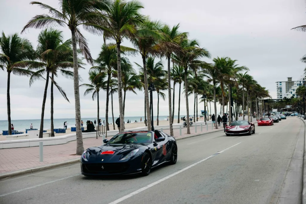 Palm Beach Cavallino Classi