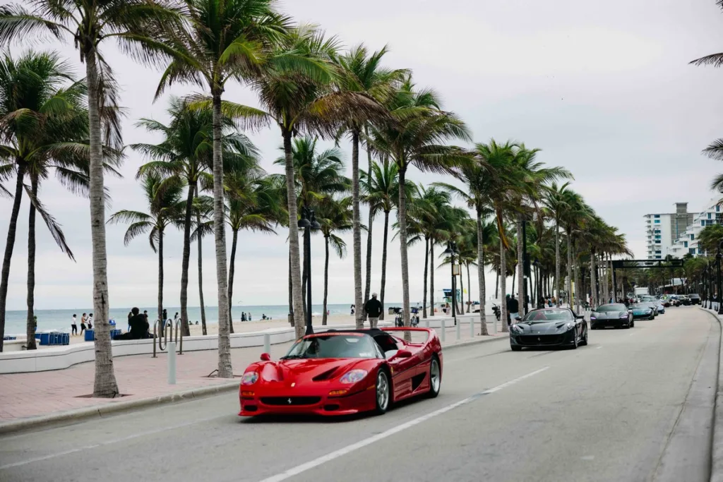 Palm Beach Cavallino Classi