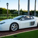 Palm Beach Cavallino Classi