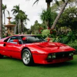 Palm Beach Cavallino Classi