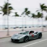 Palm Beach Cavallino Classi