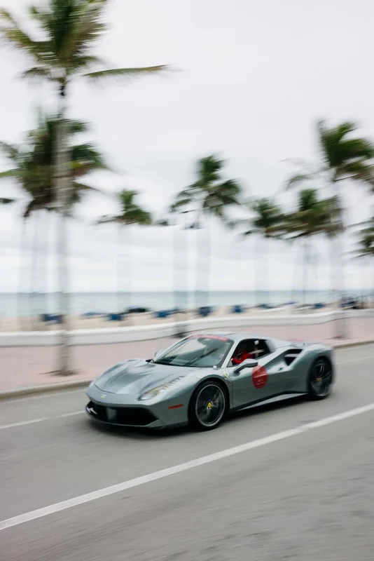 Palm Beach Cavallino Classi