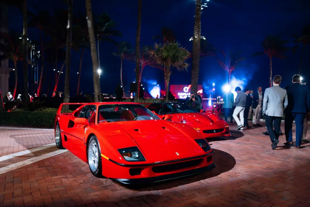 Palm Beach Cavallino Classi