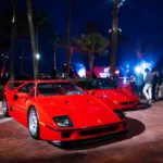 Palm Beach Cavallino Classi