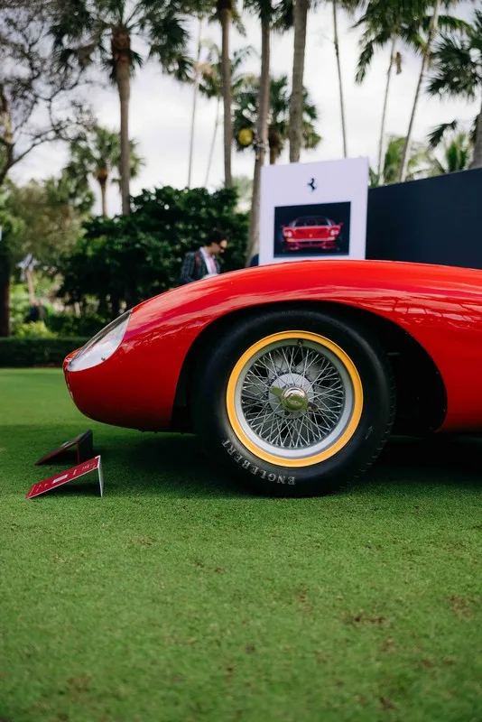 Palm Beach Cavallino Classi