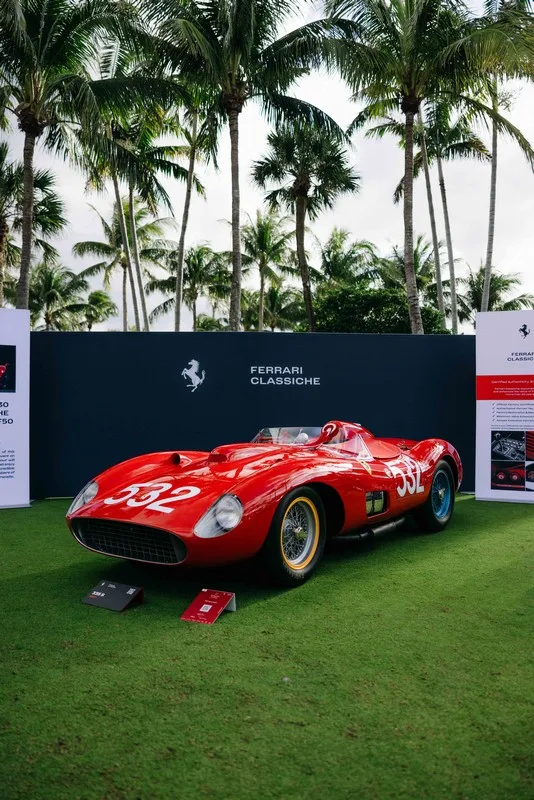 Palm Beach Cavallino Classi