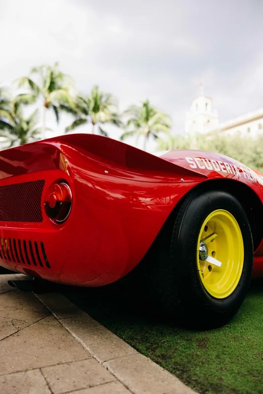 Palm Beach Cavallino Classi