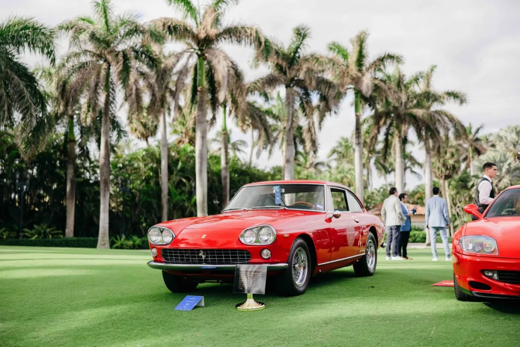 Palm Beach Cavallino Classi