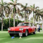 Palm Beach Cavallino Classi