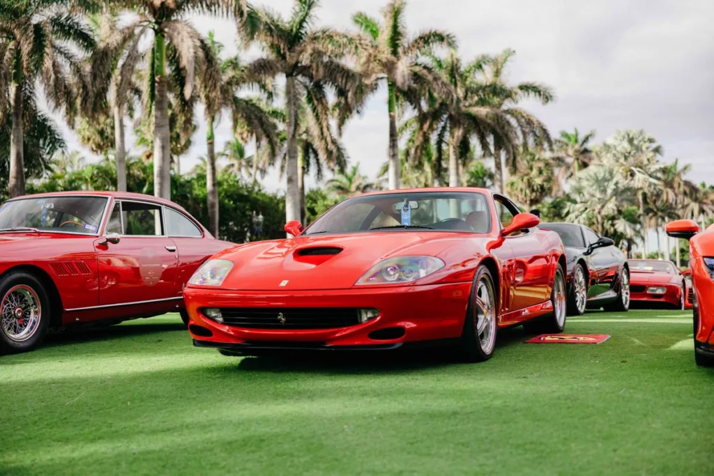 Palm Beach Cavallino Classi