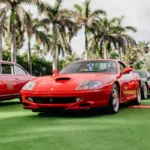 Palm Beach Cavallino Classi