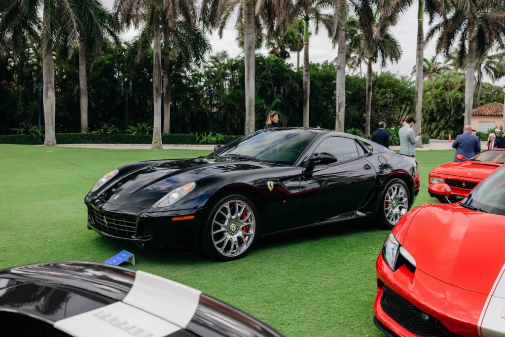 Palm Beach Cavallino Classi