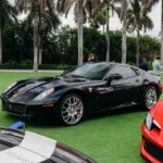 Palm Beach Cavallino Classi