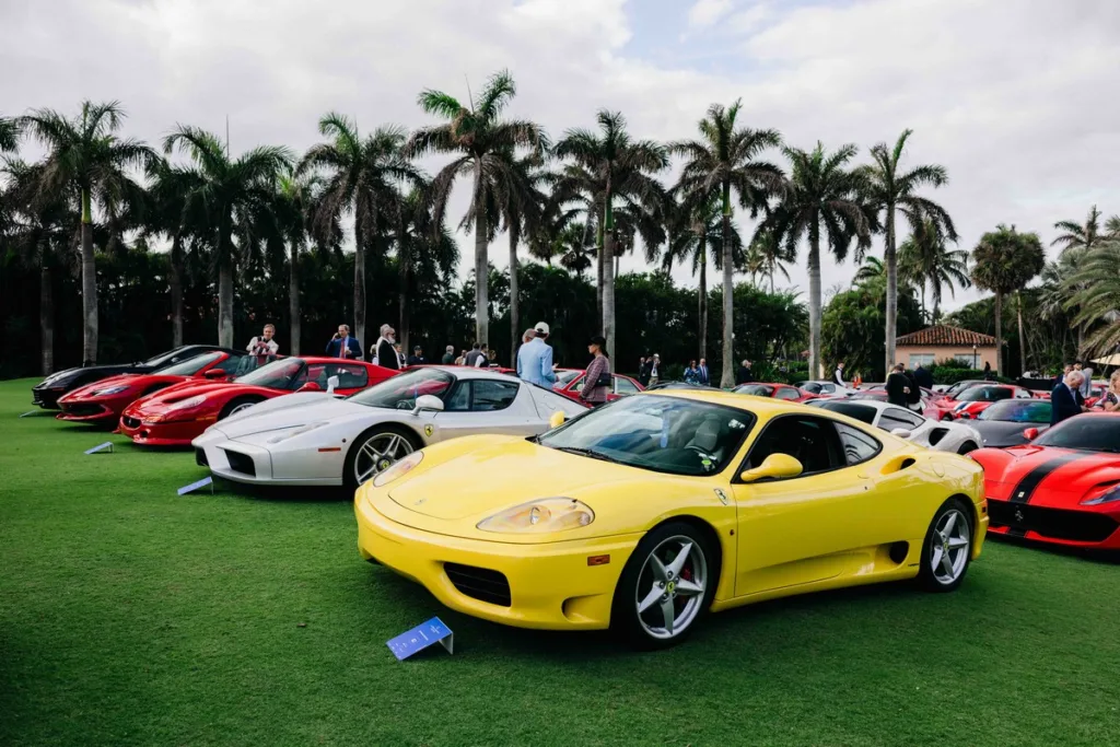 Palm Beach Cavallino Classi