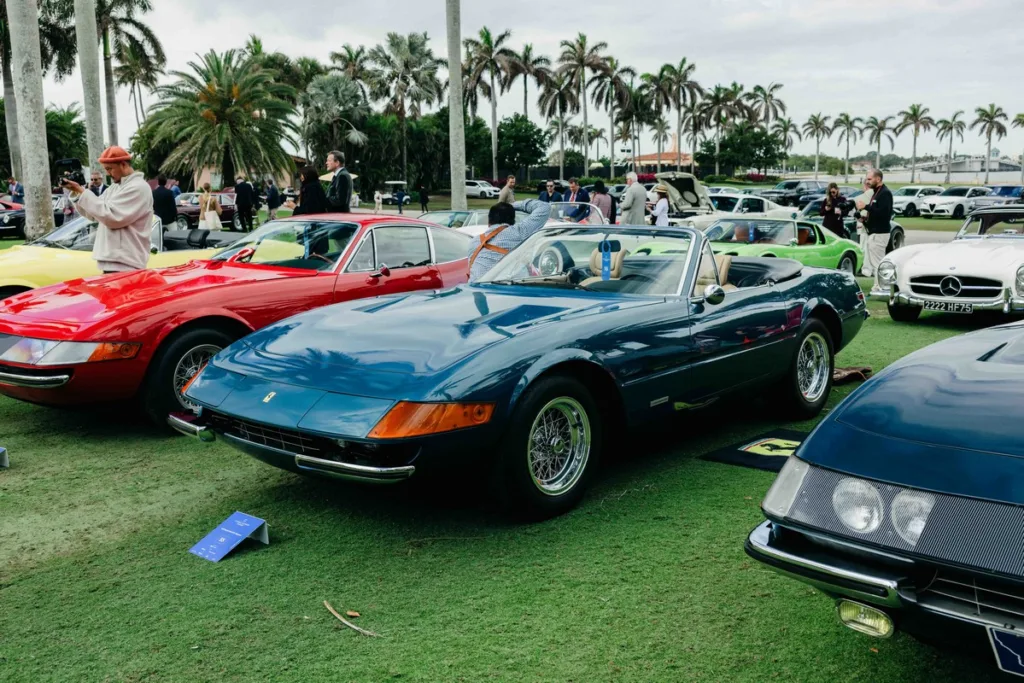 Palm Beach Cavallino Classi