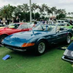 Palm Beach Cavallino Classi