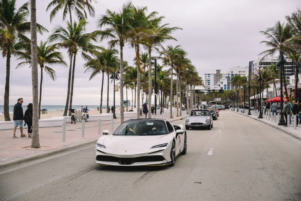 Palm Beach Cavallino Classi