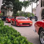 Palm Beach Cavallino Classi