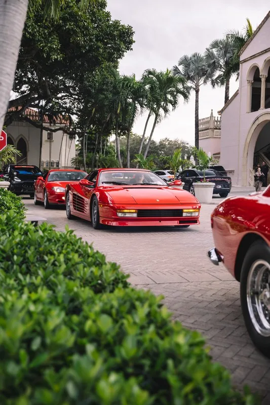 Palm Beach Cavallino Classi