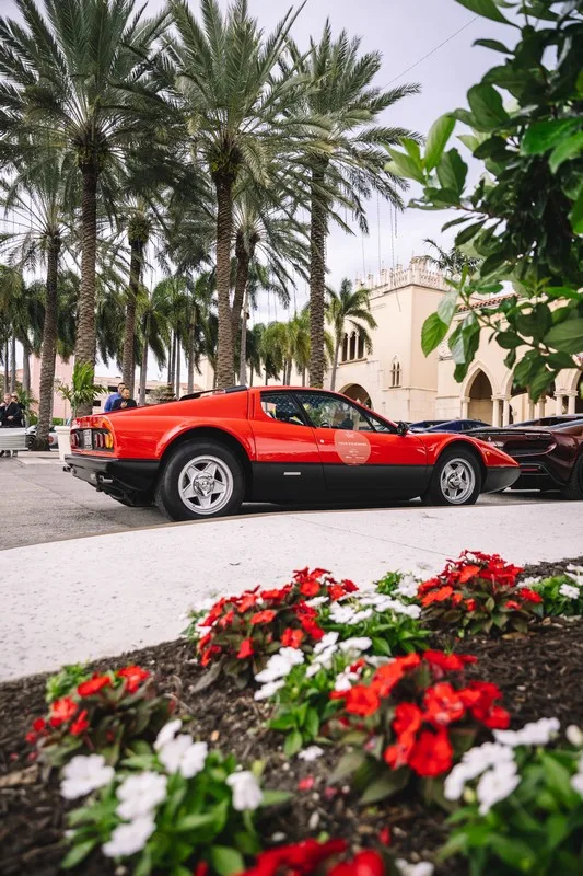 Palm Beach Cavallino Classi