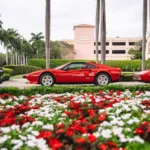 Palm Beach Cavallino Classi