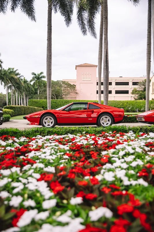 Palm Beach Cavallino Classi