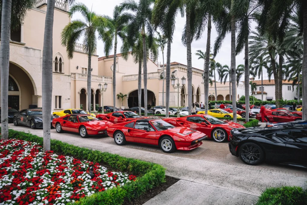 Palm Beach Cavallino Classi