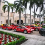 Palm Beach Cavallino Classi