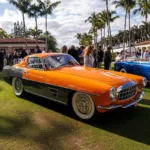 Palm Beach Cavallino Classi