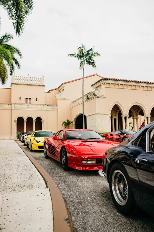 Palm Beach Cavallino Classi